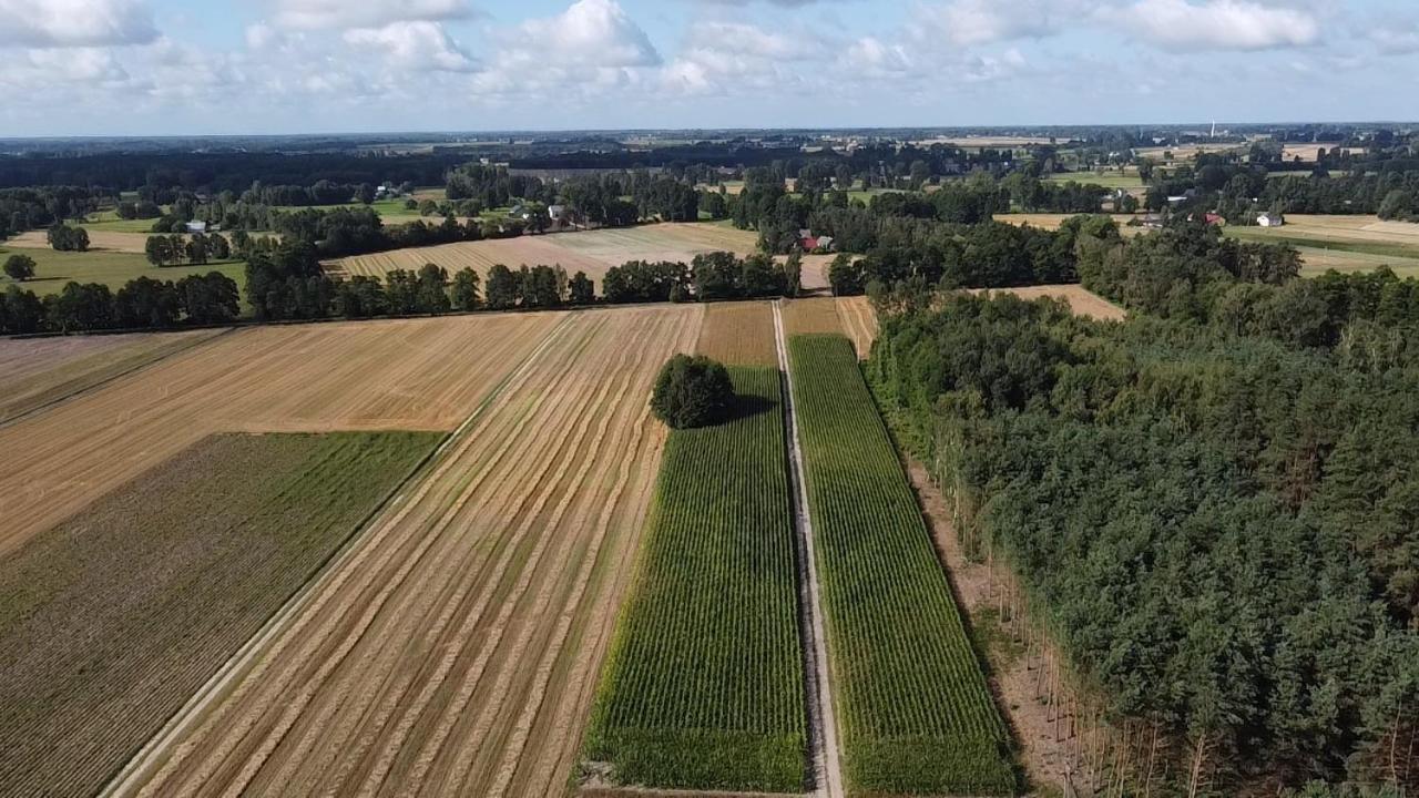 Maciejowka Gospodarstwo Agroturystyczne Poddebice Экстерьер фото